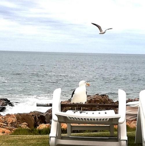 Beacon Island Resort Plettenbergbaai Buitenkant foto